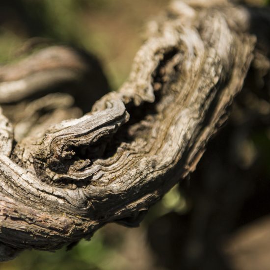 luoghi-del-vino_2