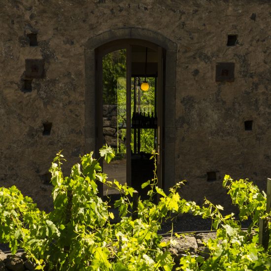 new-luoghi-del-vino_7